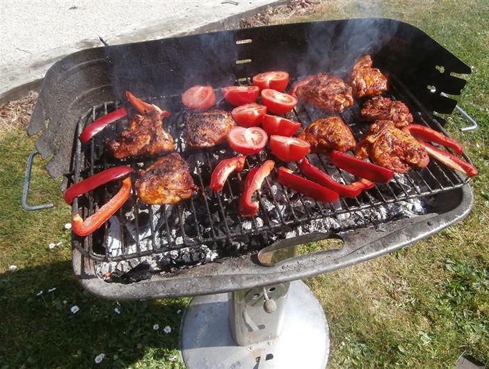 Camping les Goëlands à Ambon (56)