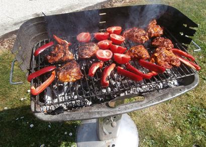 Camping les Goëlands à Ambon (56)